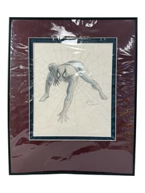 Framed Spider-Man Pencil Drawing
