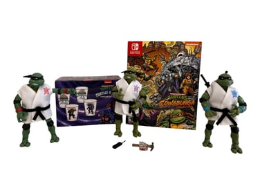 Teenage Mutant Ninja Turtles Action Figure Lot