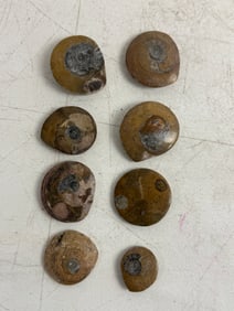 Stone Carved Jade Pendant Animals