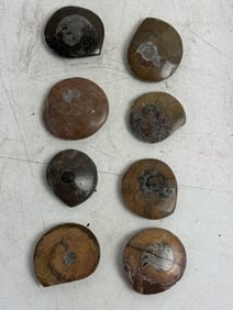 Stone Carved Jade Pendant Animals