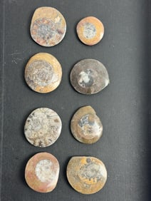 Stone Carved Jade Pendant Animals