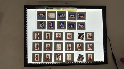 Vintage Color Photo Negative Modeling Slides