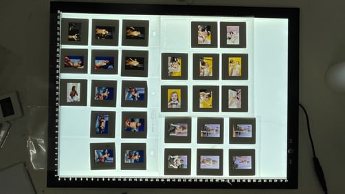 Vintage Color Photo Negative Modeling Slides