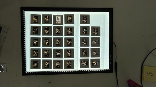 Vintage Color Photo Negative Modeling Slides