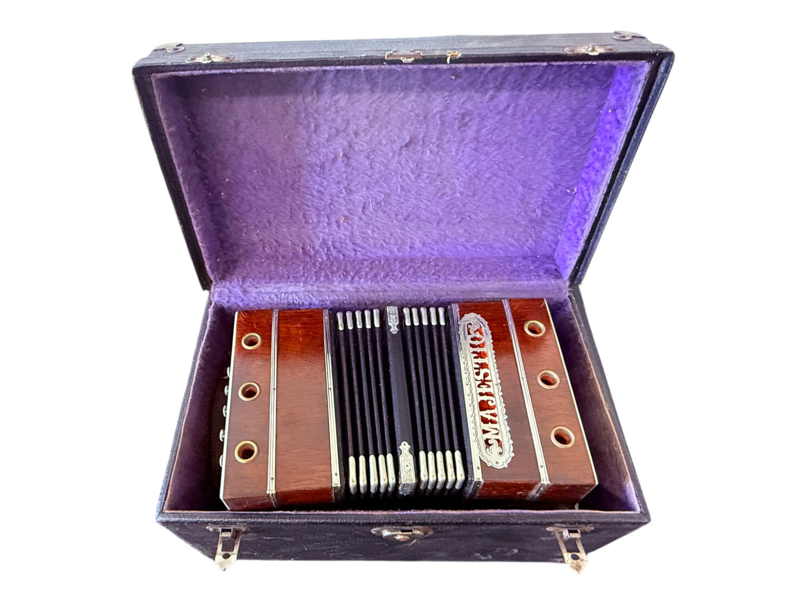 Vintage Concertina Accordion in Case: Vintage Concertina Accordion in Case