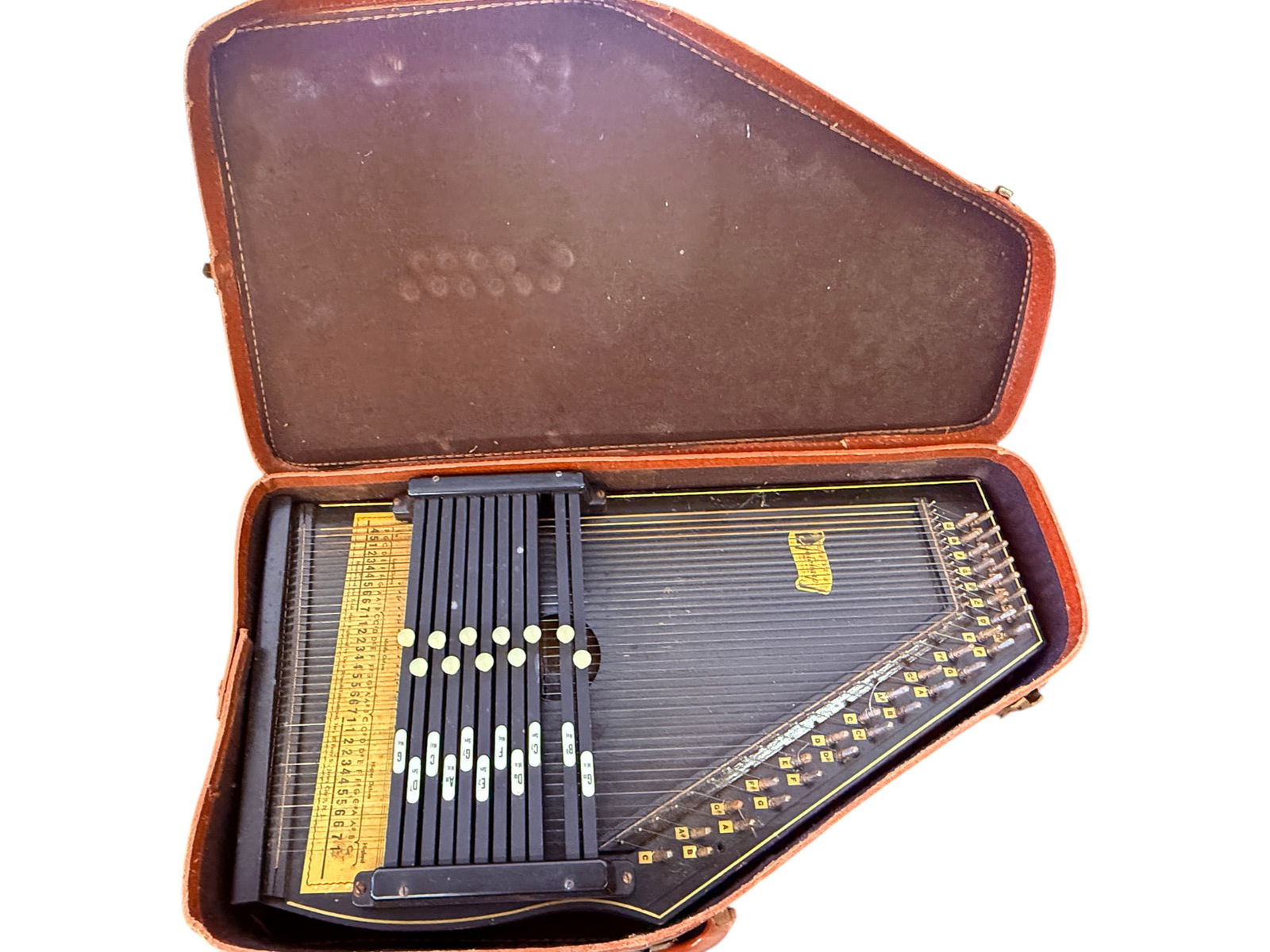 Autoharp Style Zither in Case (1 of 4)