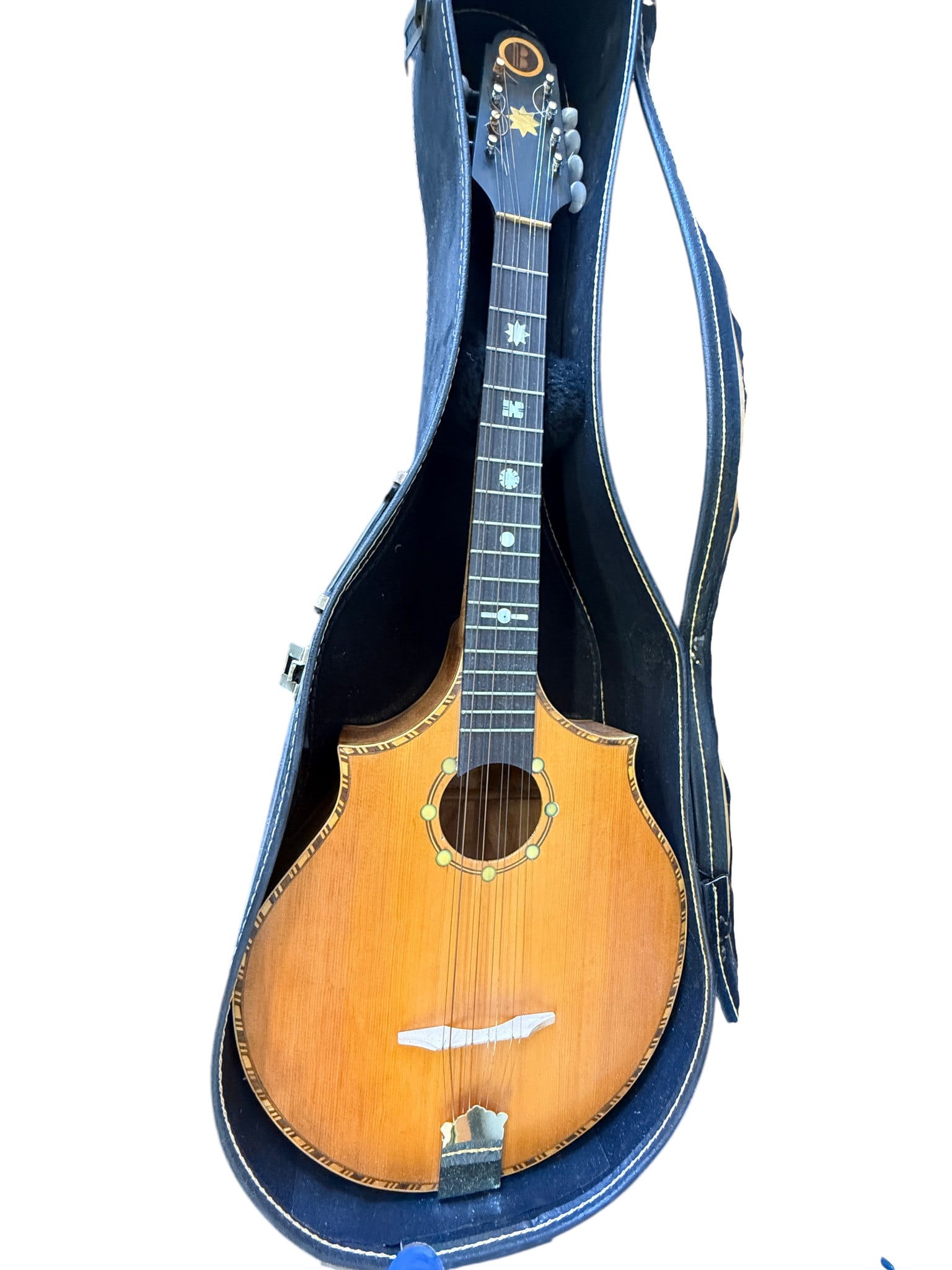Mandolin Style String Instrument in Case: Mandolin Style String Instrument in Case