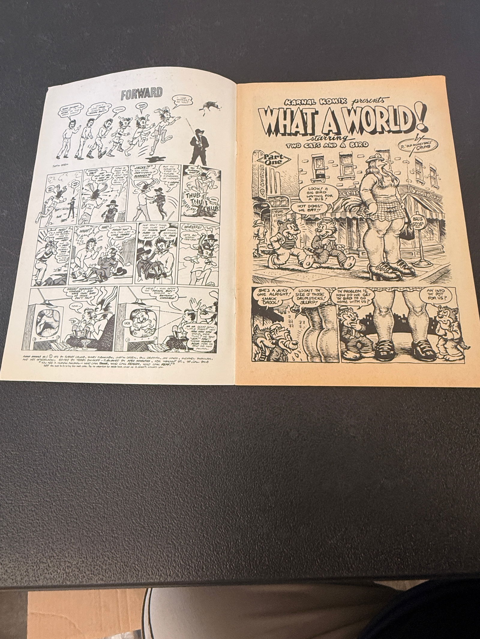 Funny Animals Underground Comix - 3