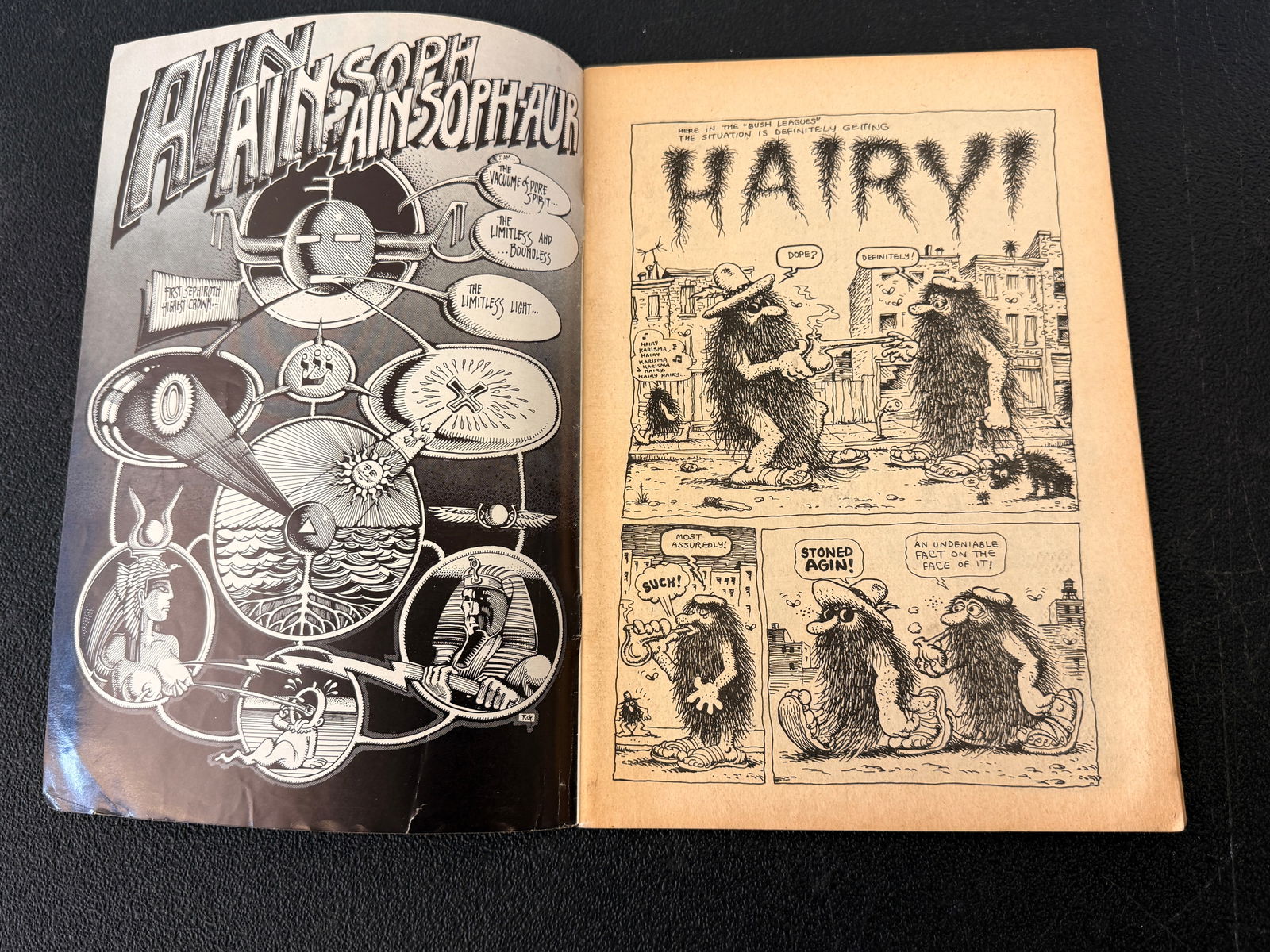 Zap Comix #3 Special 69 Issue Comic Book - 2