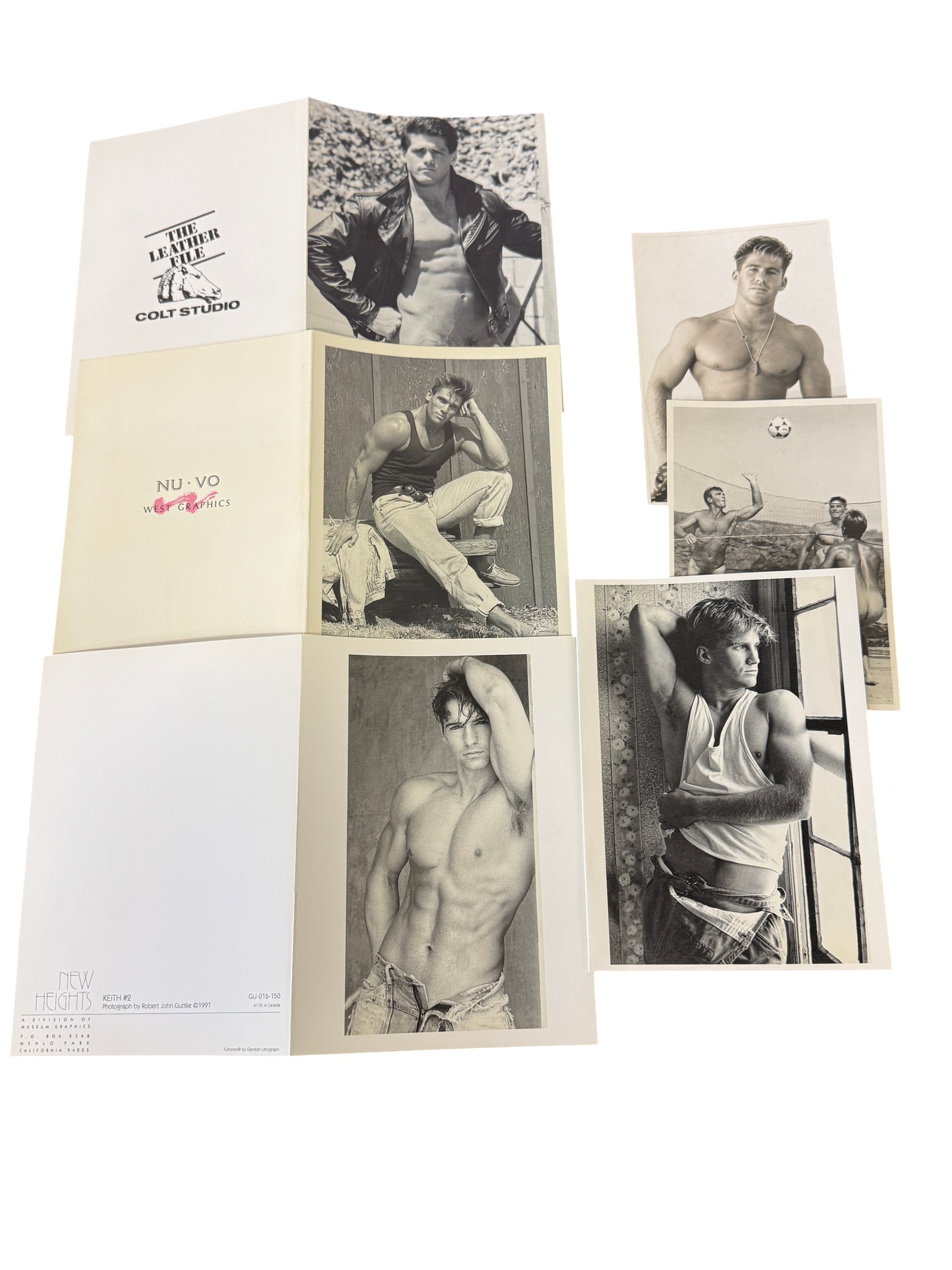 Vintage Male Study Modeling Photo Group (1 of 3)