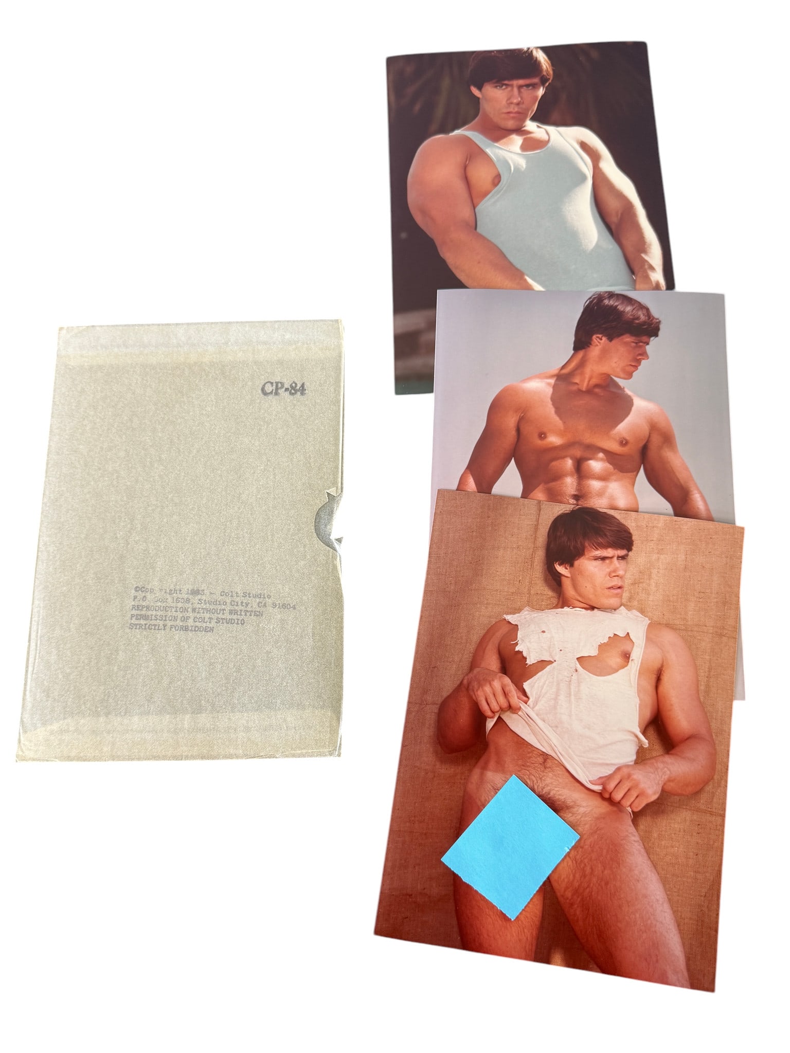 Vintage Male Study Modeling Photo Group (1 of 3)