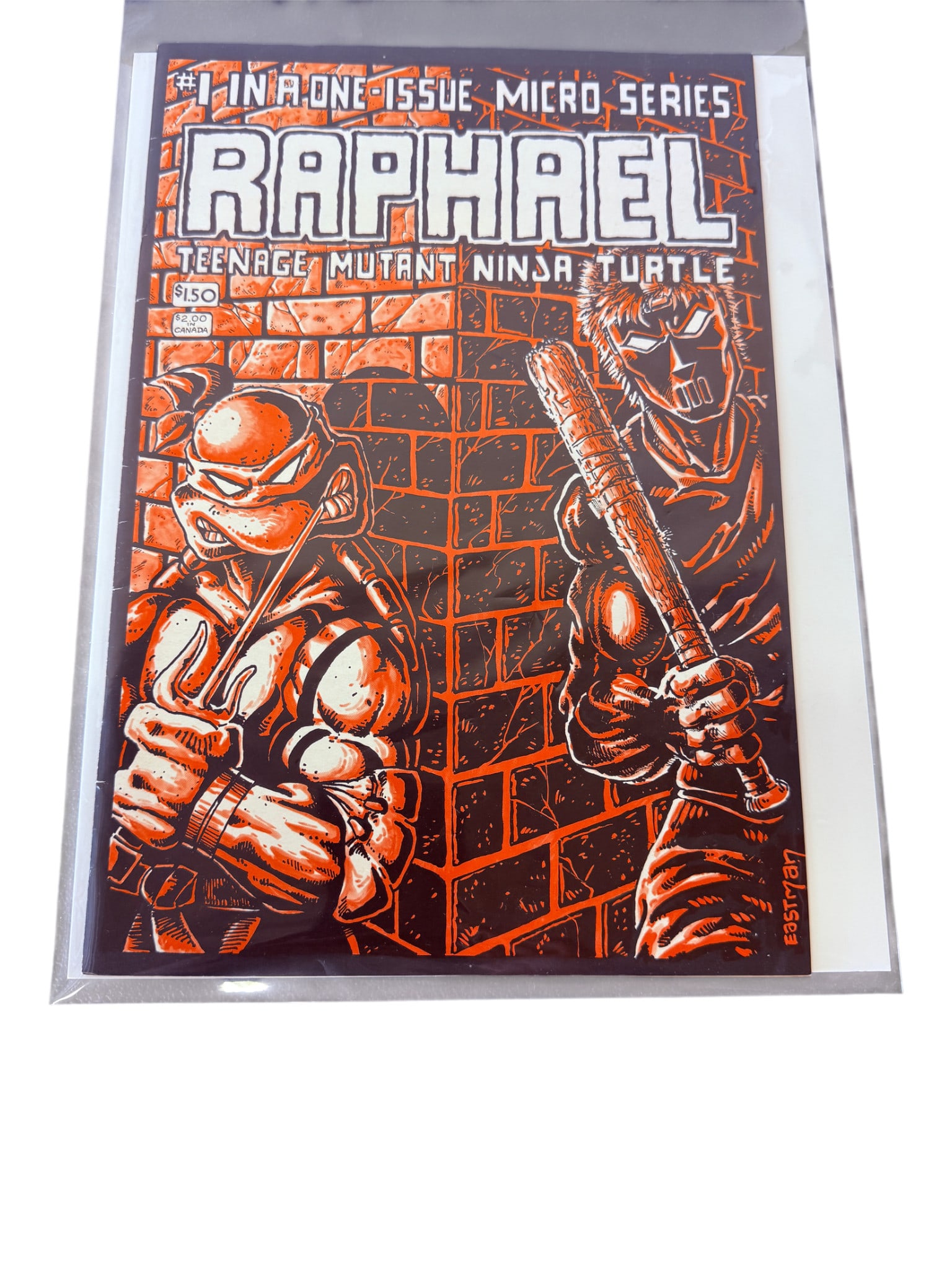 Raphael Teenage Mutant Ninja Turtles #1 Comic Book (1 of 2)