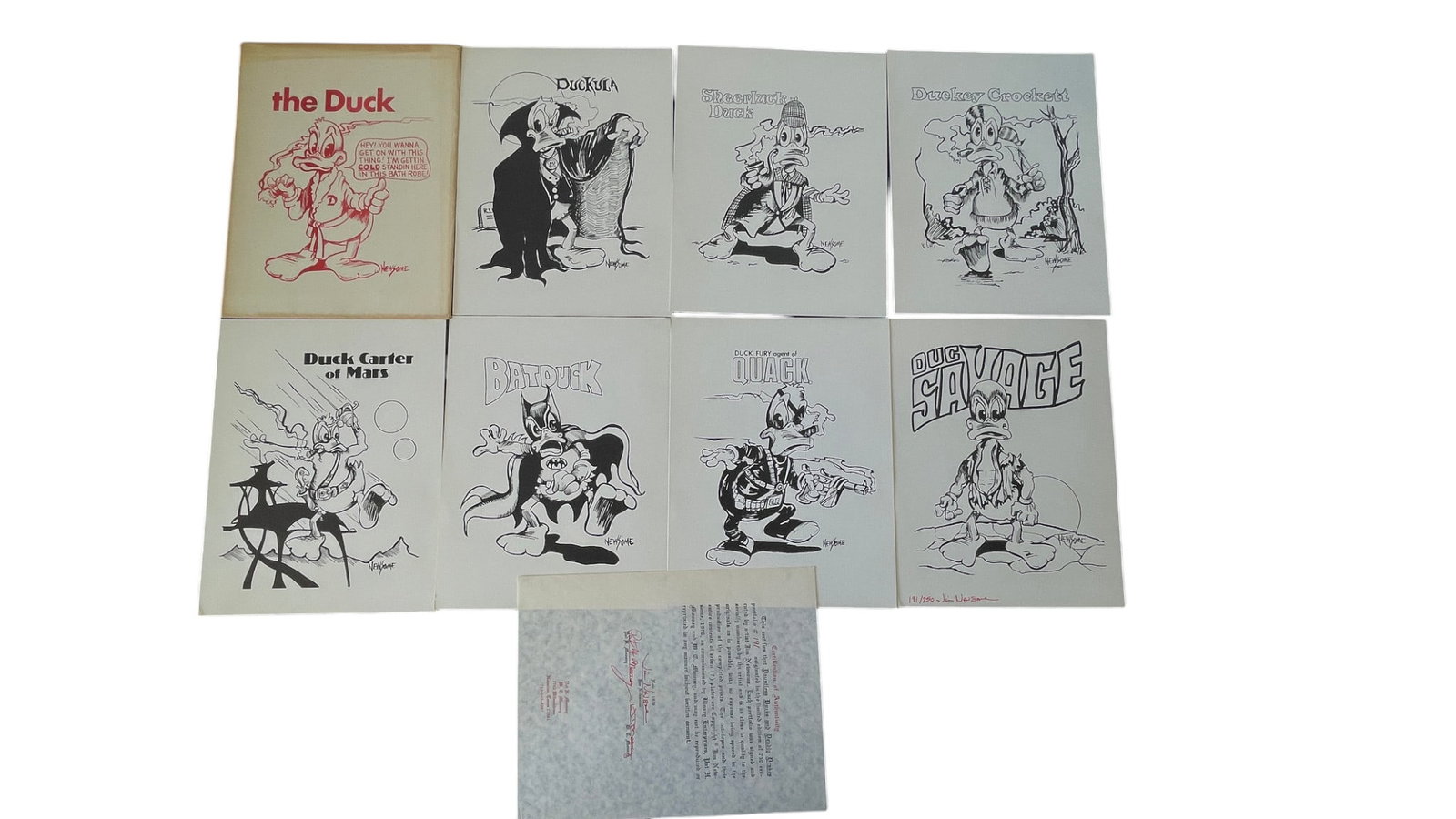 Dauntless Ducks and Deadly Drakes Rare Limited Edition Portfolio by Jim Newsome (1 of 6)