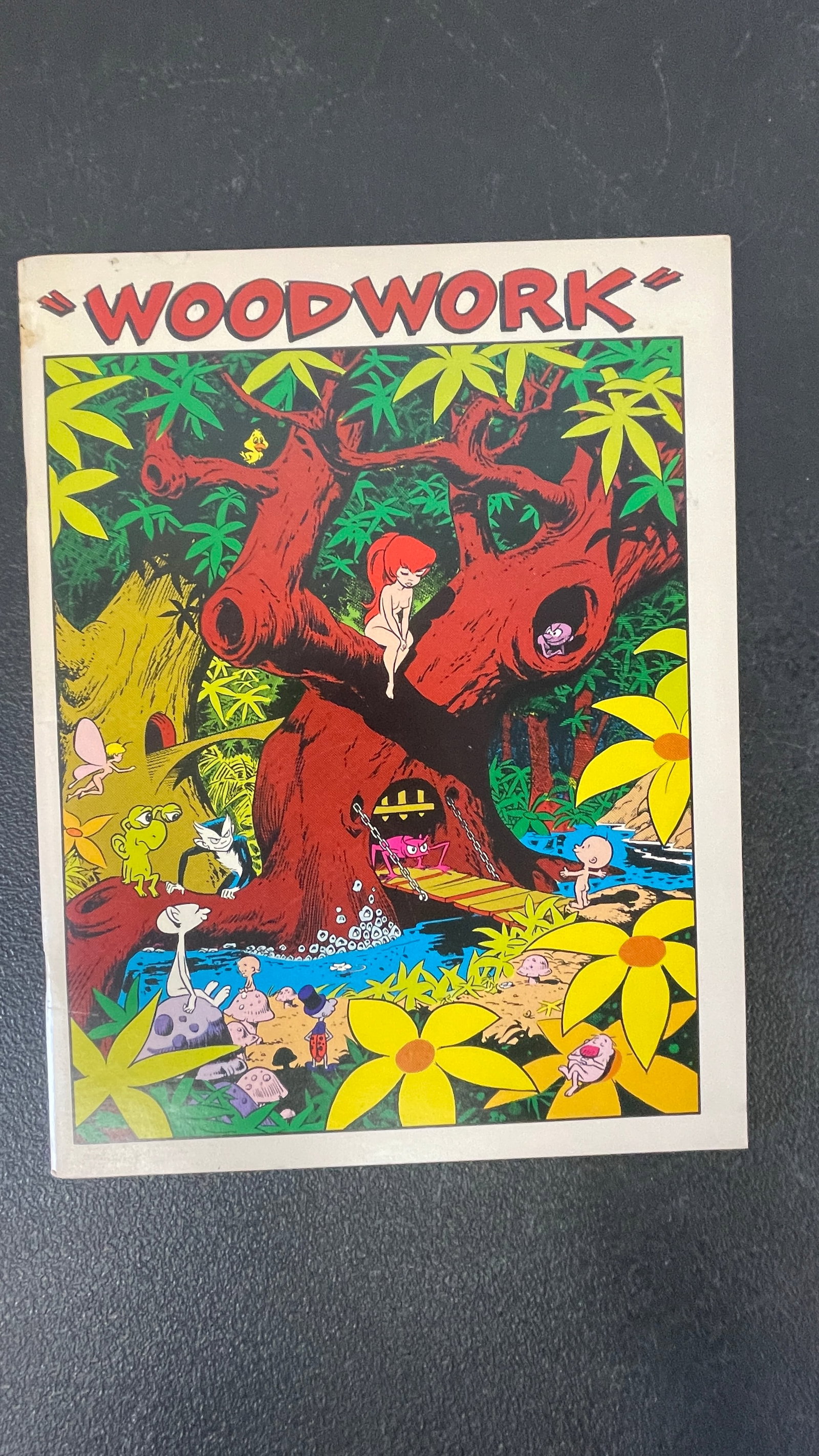 Woodwork Underground Comix Comic Book, Underground Press c.1970s (1 of 4)
