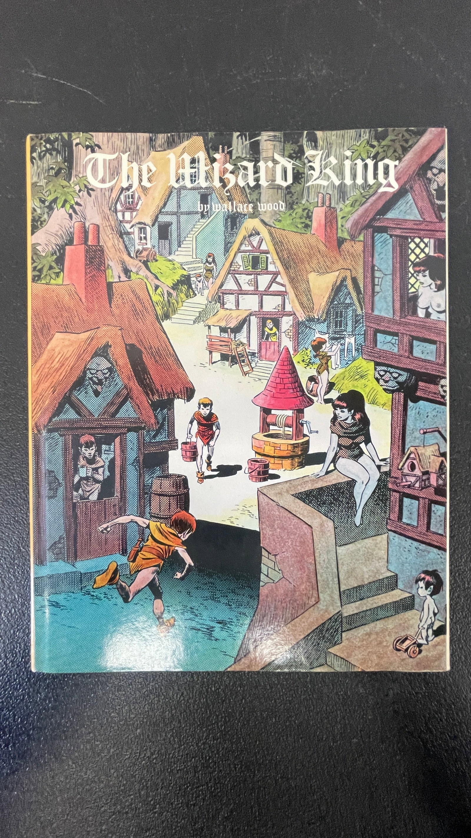 The Wizard King by Wallace Wood Graphic Novel Fantasy Comic Album (1 of 3)