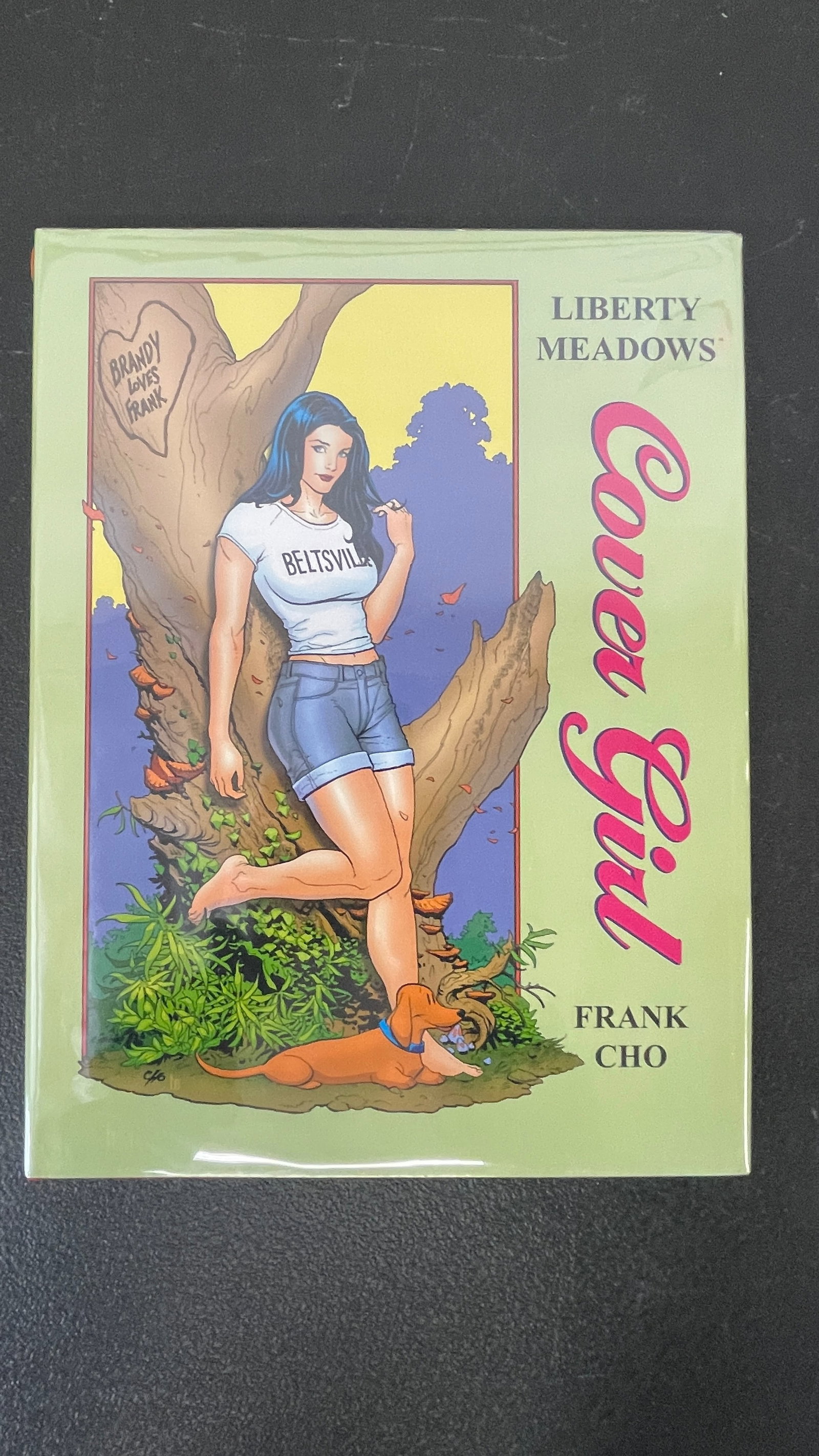 Liberty Meadows: Cover Girl HC by Frank Cho – Image Comics Art Book: Liberty Meadows: Cover Girl is a hardcover art collection published by Image Comics, written and illustrated by Frank Cho, showcasing the cover art from the beloved Liberty Meadows comic strip series.
