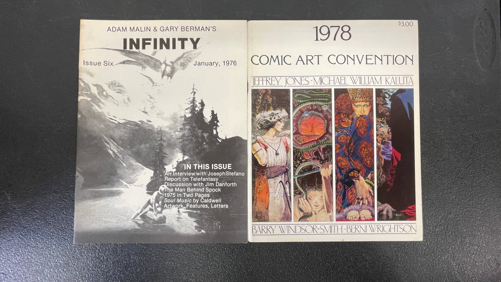 Infinity #6 (1976) & 1978 Comic Art Convention Program — Wrightson, BWS (1 of 7)