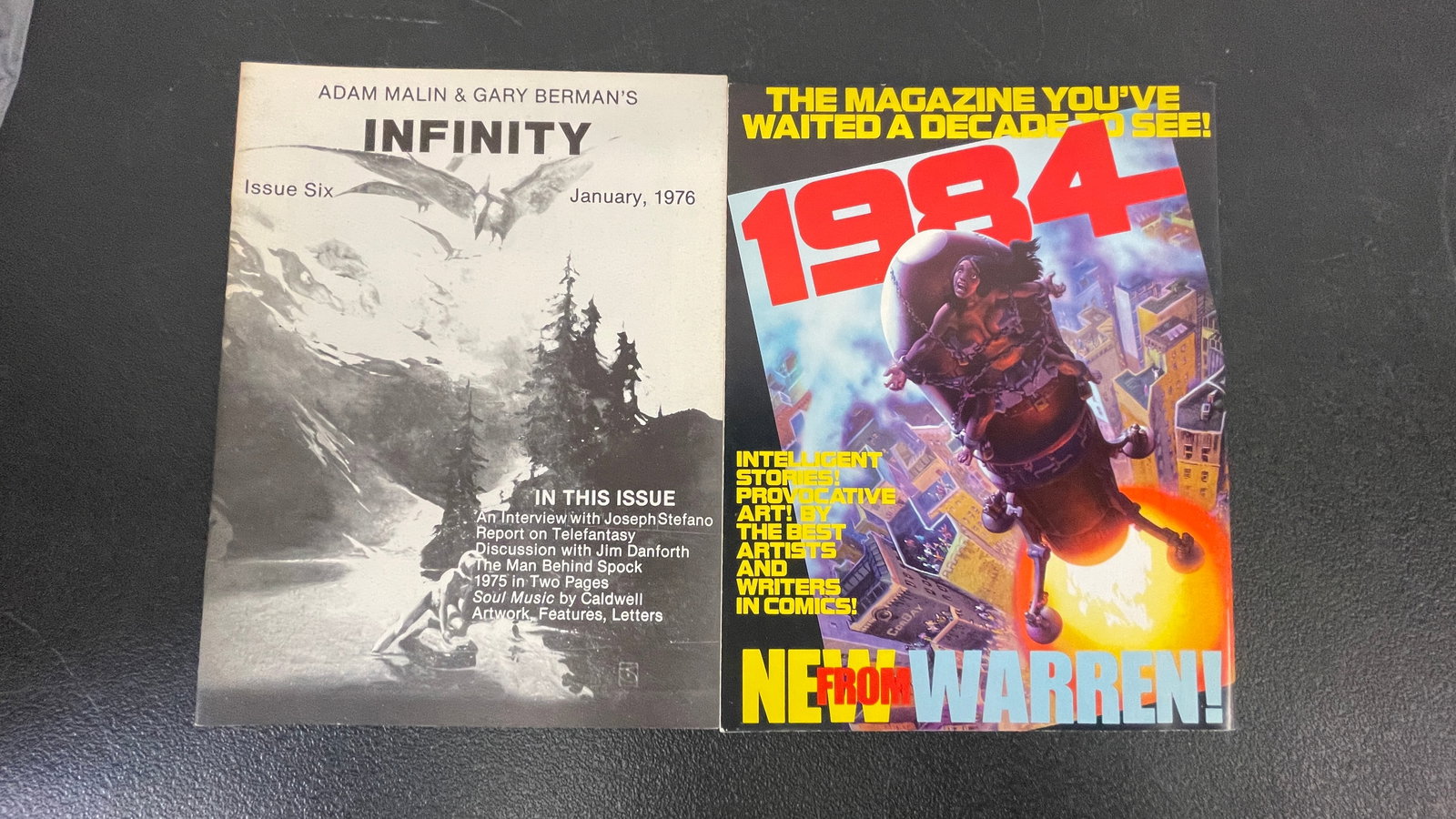 Infinity #6 (1976) & 1978 Comic Art Convention Program — Wrightson, BWS - 6