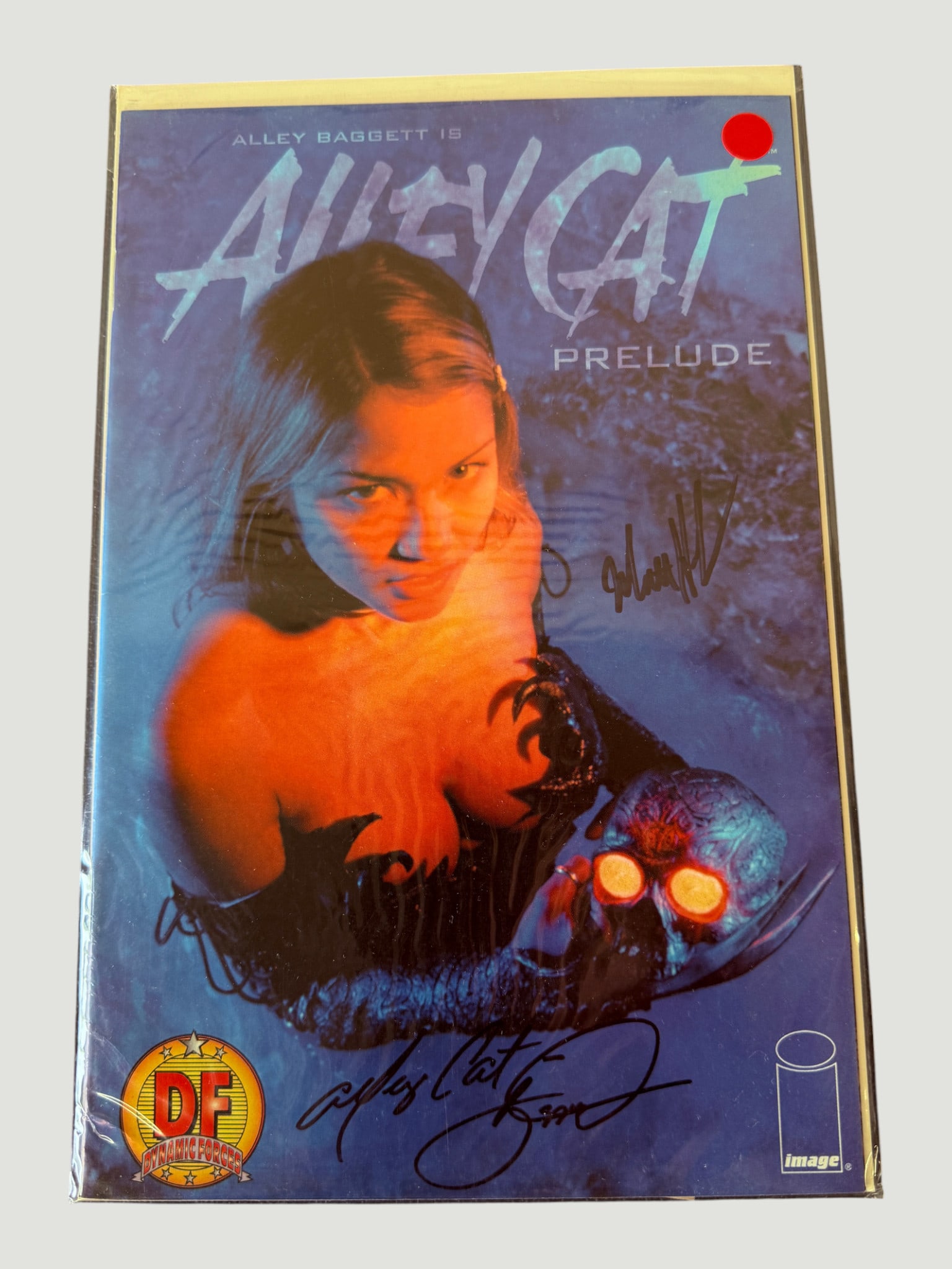 Alley Cat Prelude #1 Image Comics Signed DF Variant — Alley Baggett (1 of 4)