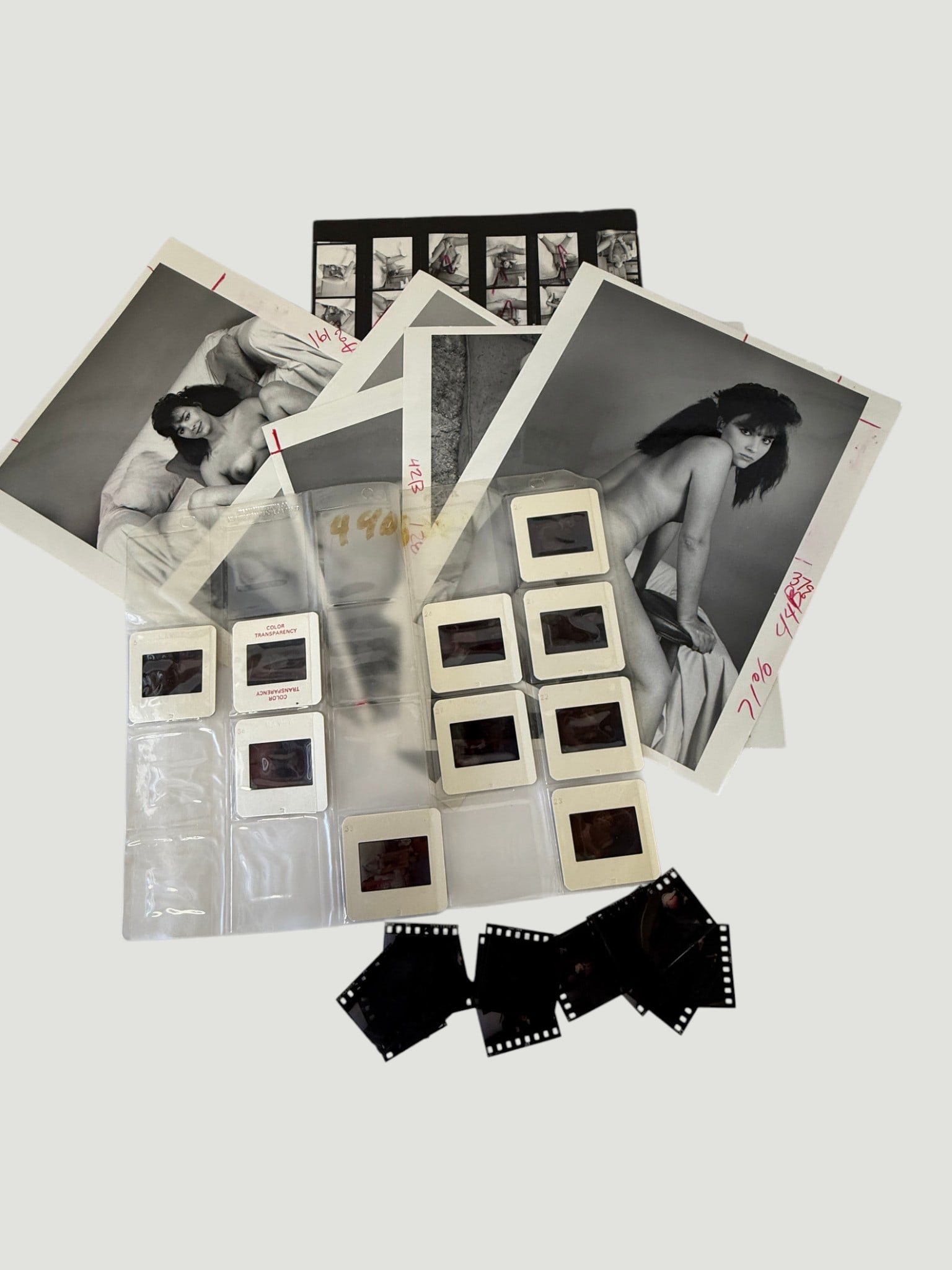 Vintage Pin Up Risque Model Erotic Photo Archive Collection B&W (1 of 1)