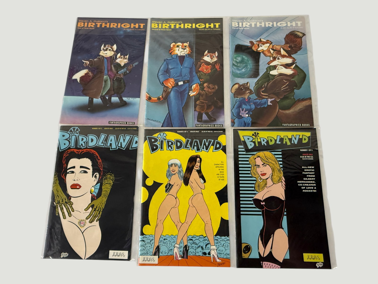 Birthright #1-3 Complete Set & Birdland #1-3 Complete Set — Fantagraphics/Eros Comics: A collection of two complete three-issue comic book series: 'Steven A. Gallacci's Birthright' #1-3, published by Fantagraphics Books, featuring anthropomorphic animal characters in a science fiction s