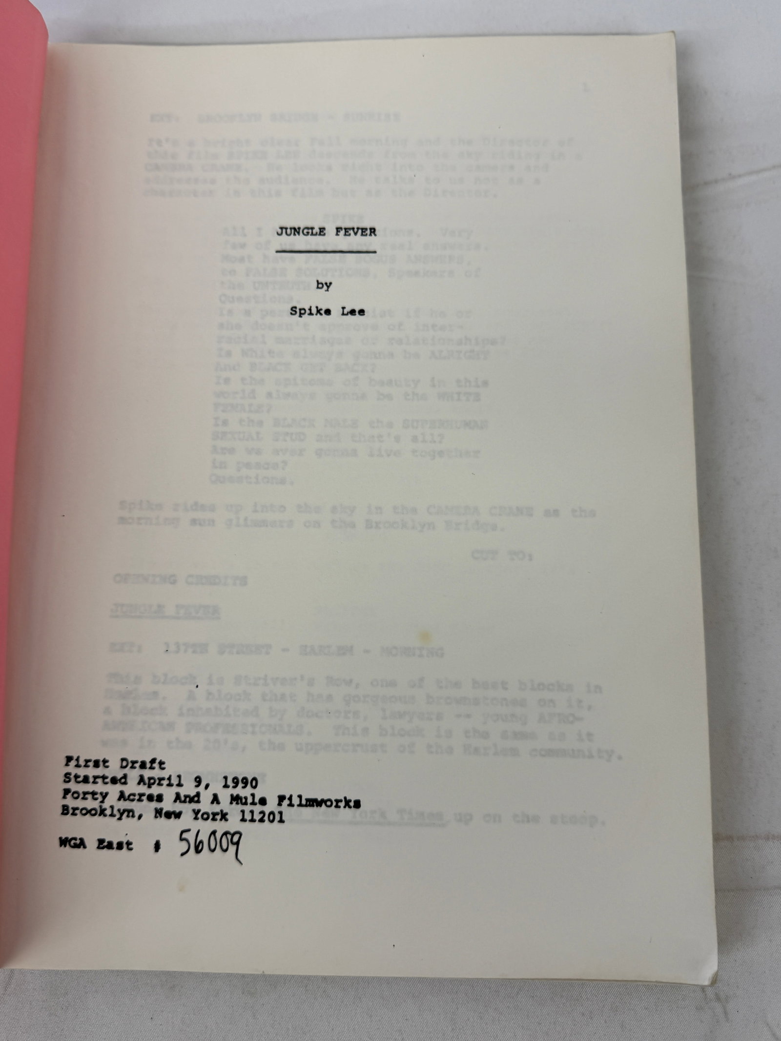Jungle Fever Spike Lee Script 1990 Halle Berry Wesley Snipes (1 of 3)