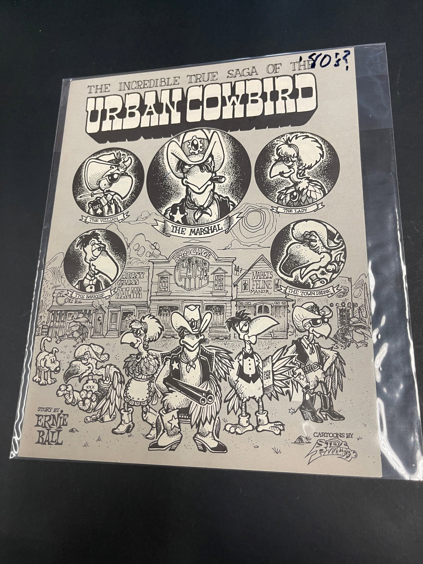 Urban Cowbird Ernie Ball Comic Book Booklet Vintage Guitar Instruction Promo (1 of 2)