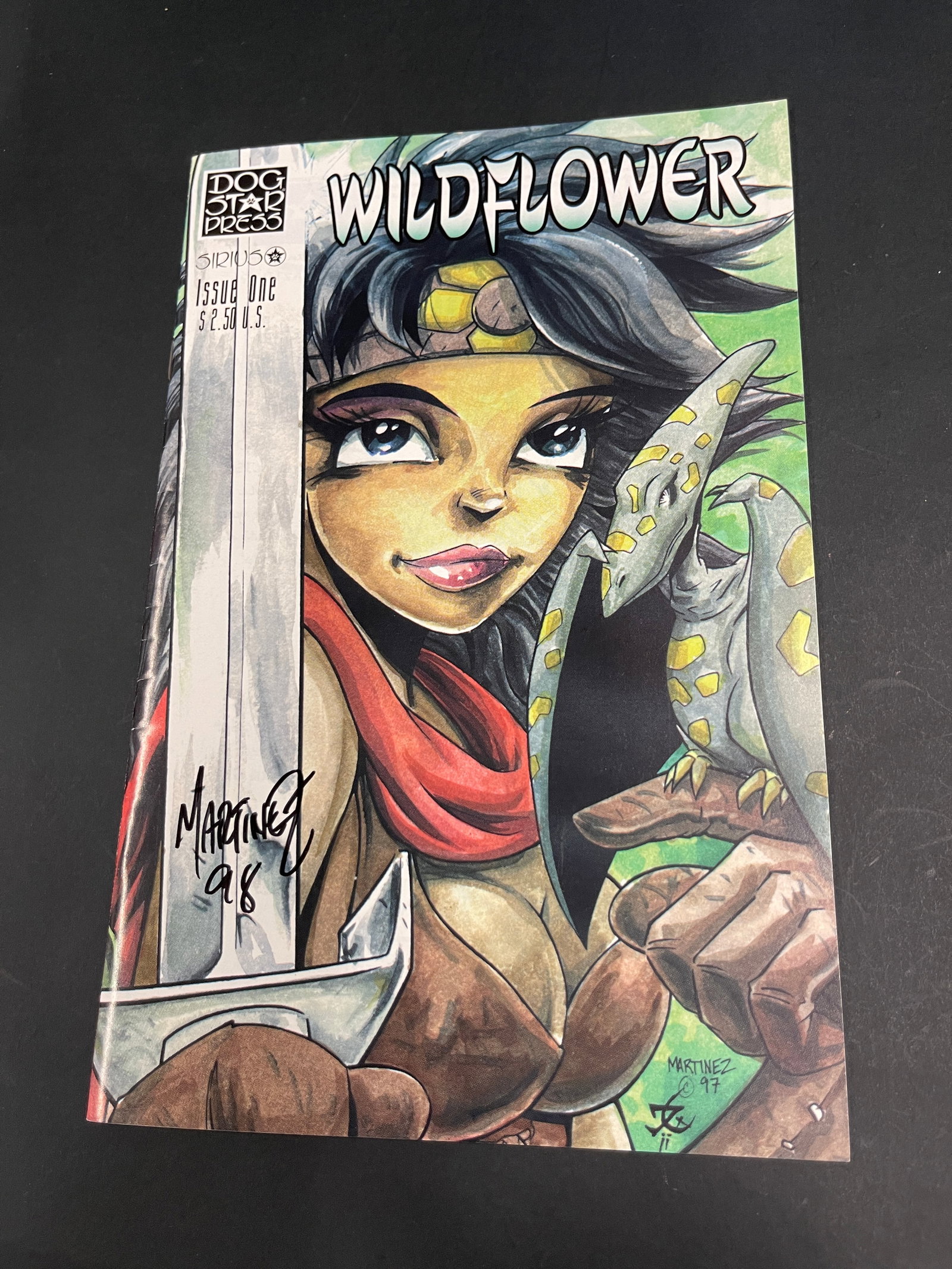 Wildflower #1 Dog Star Press Comic Signed Martinez 1997 + Broken Heroes Comic (1 of 3)