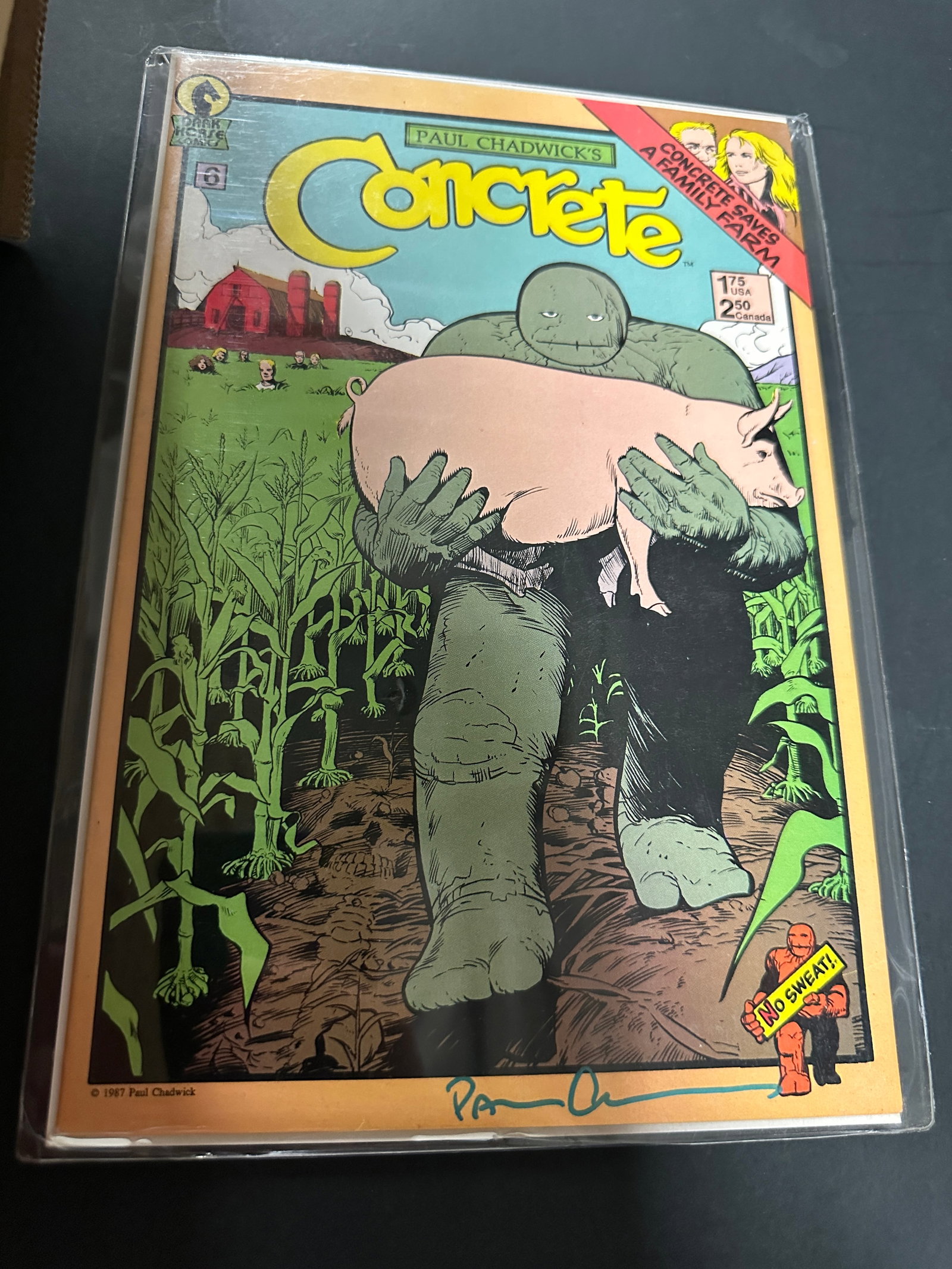 Concrete #6 Dark Horse Comics 1987 Paul Chadwick Signed Issue (1 of 2)