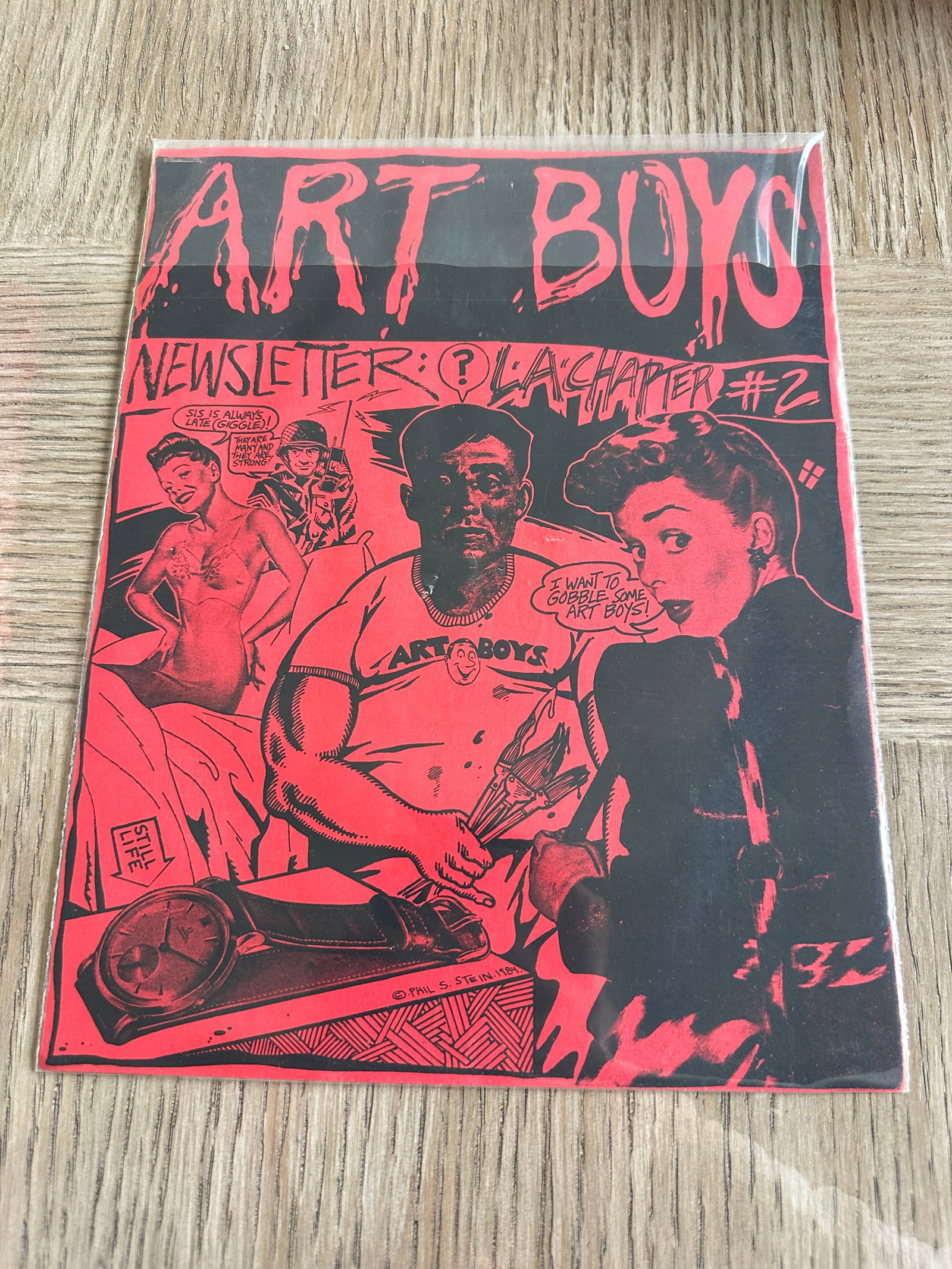 Art Boys Newsletter LA Chapter #2 Zine Phil S. Stein 1980s Underground Comix (1 of 2)