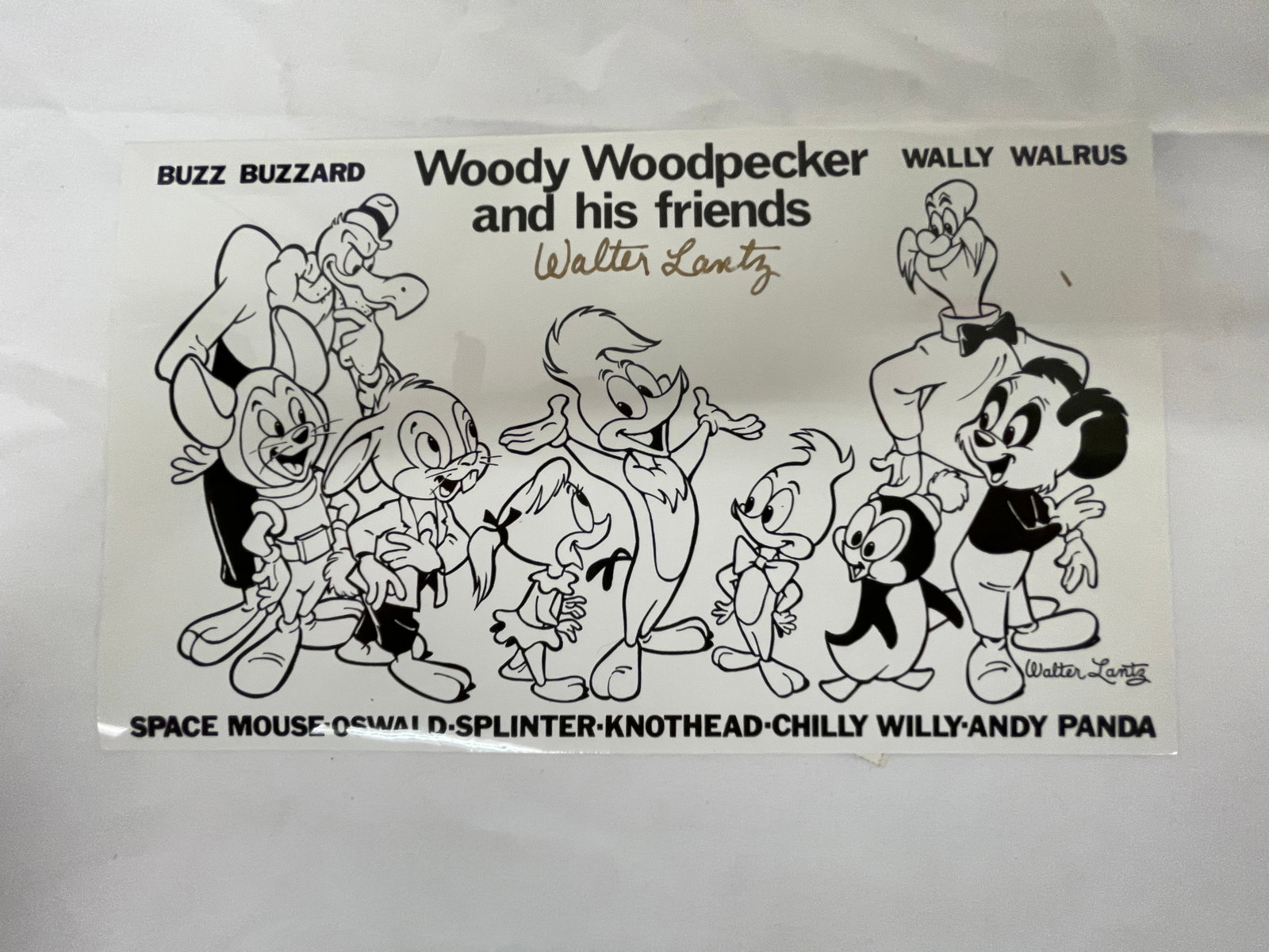 Woody Woodpecker & Friends Walter Lantz Signed Original Cel Art 11x7in (1 of 8)