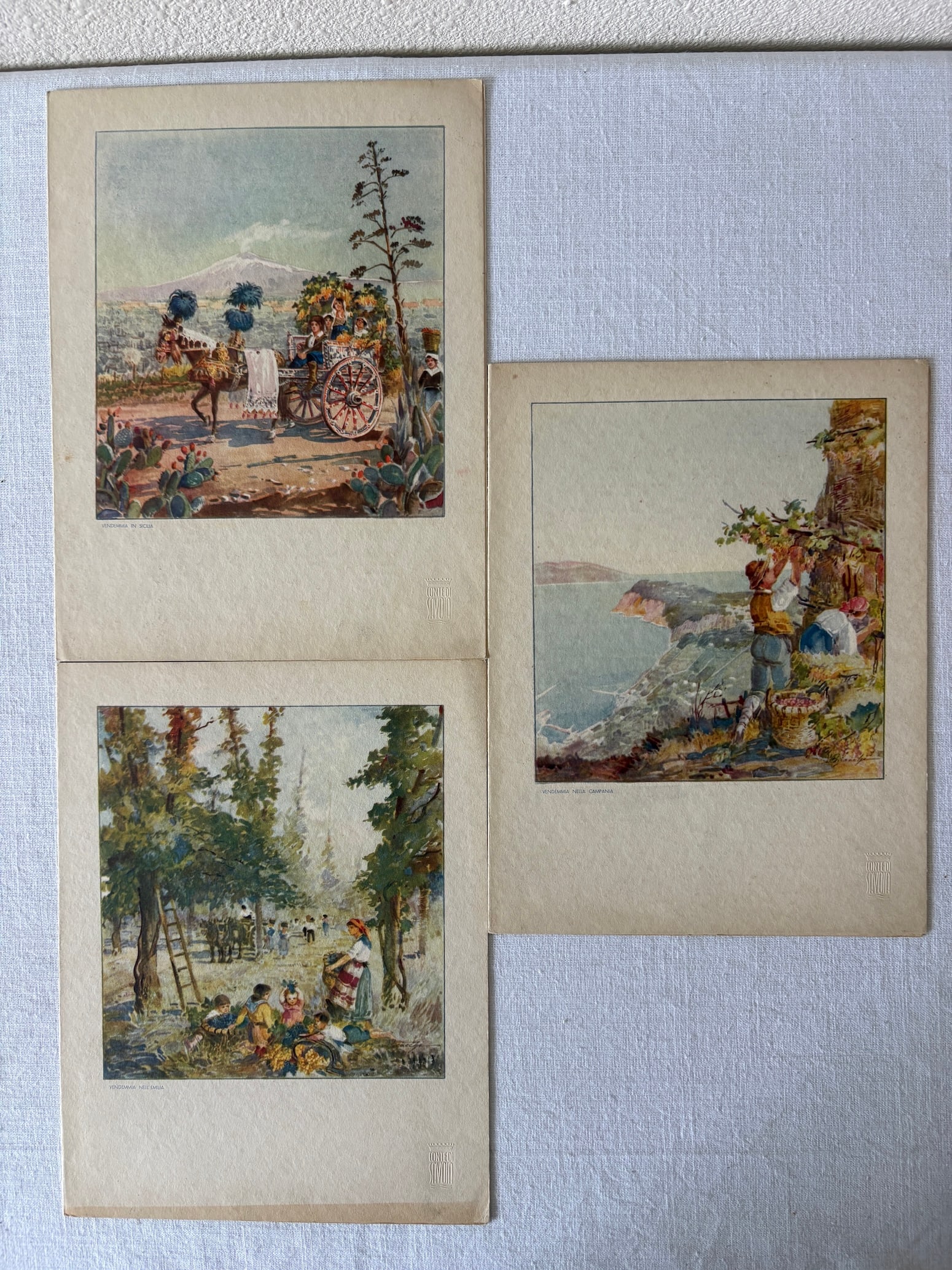 Vintage and Antique Maritime Cruise Line Ephemera Collection Lot (1 of 9)