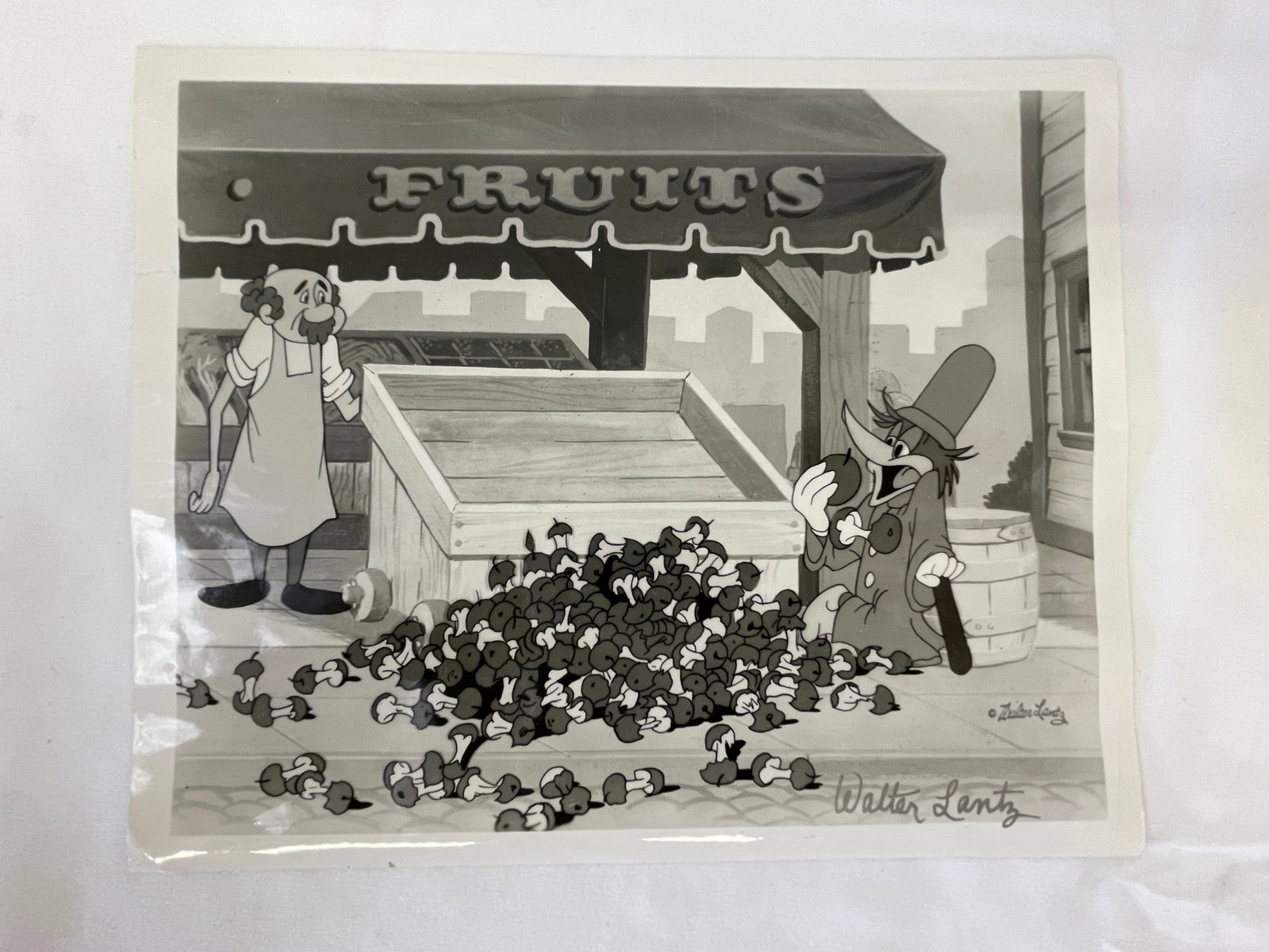 Walter Lantz Woody Woodpecker Signed Animation Cel Photo Print Fruits Stand (1 of 4)