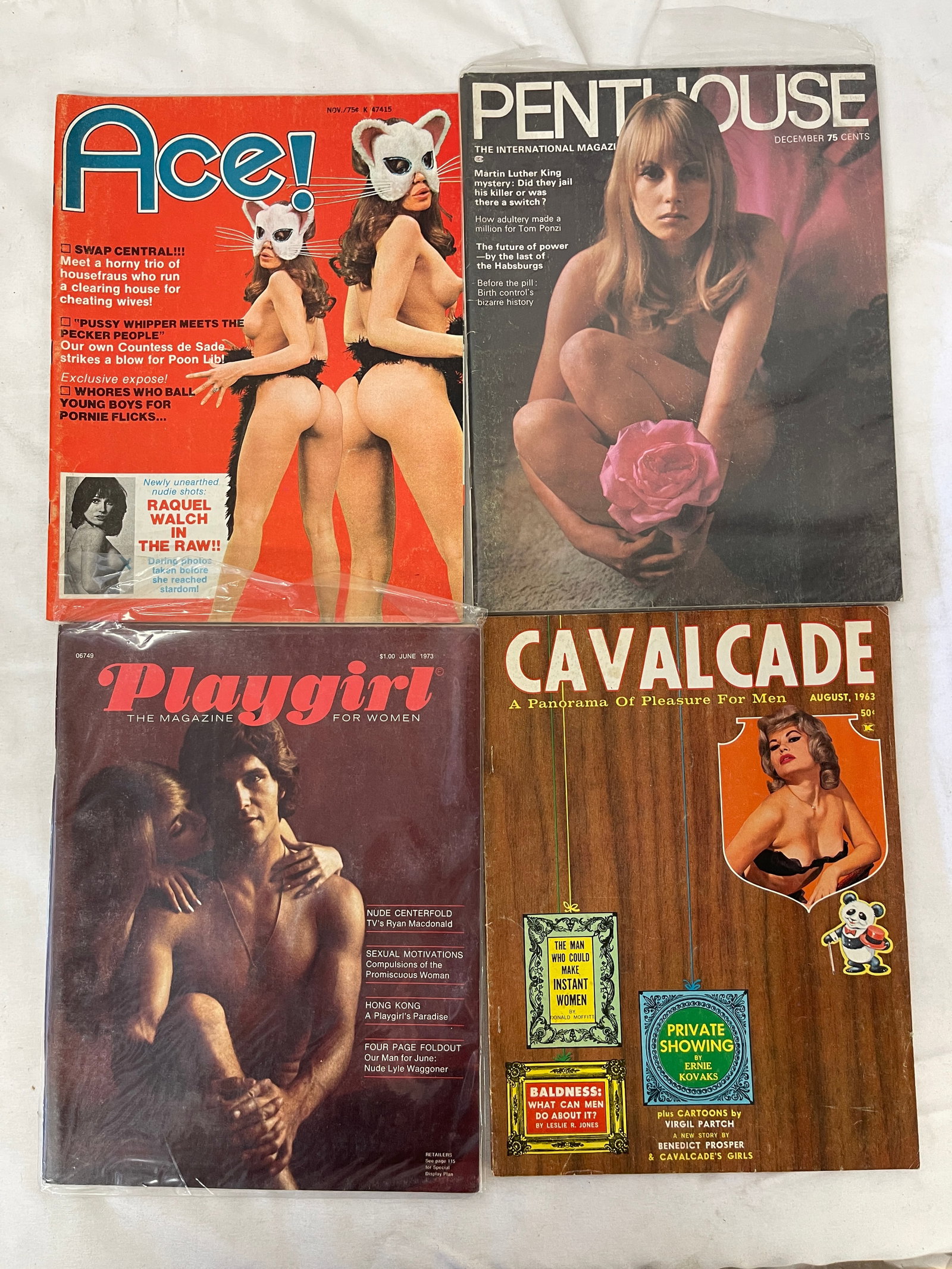 Vintage Adult Magazine Collection Lot