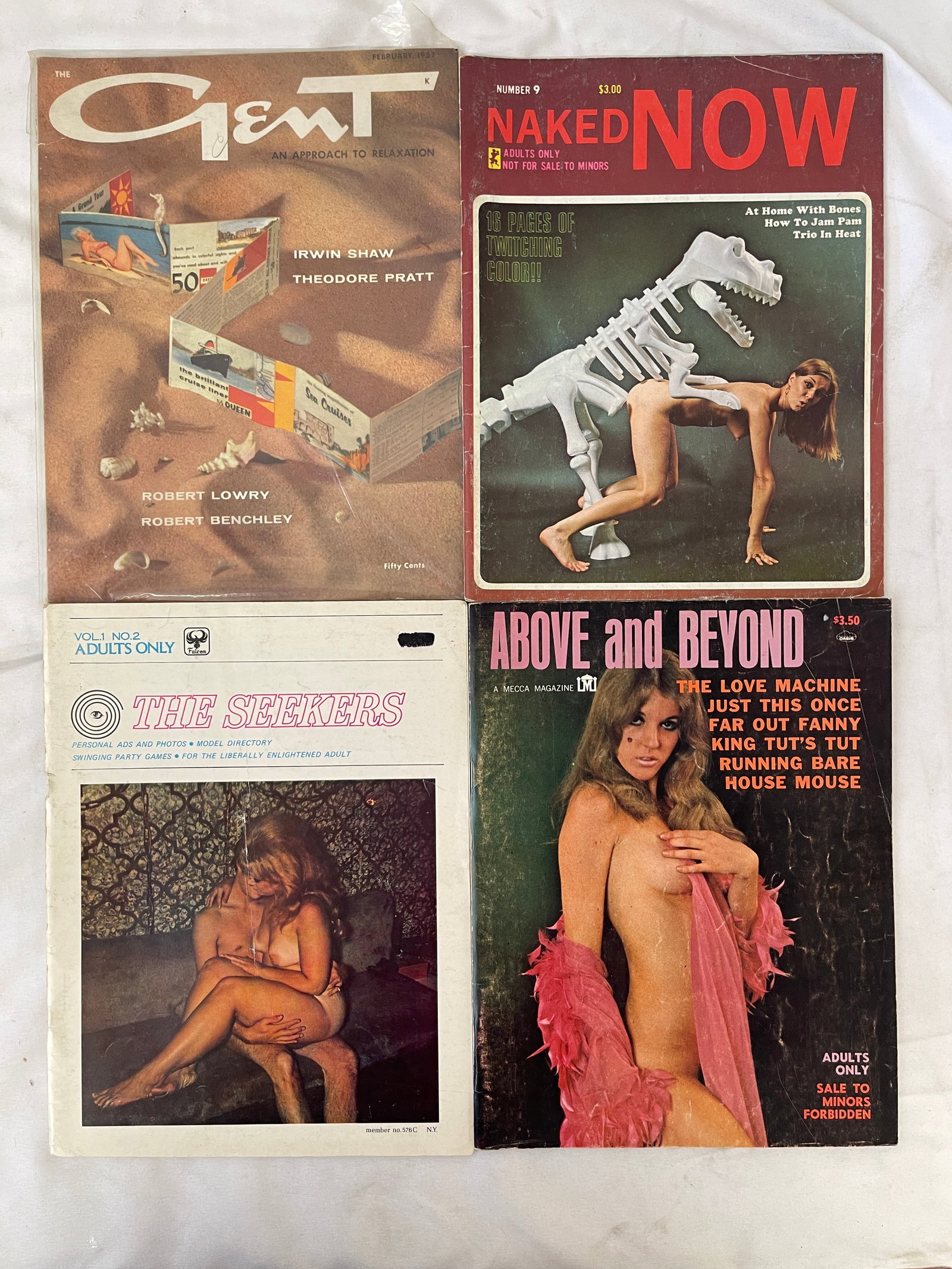 Vintage Adult Magazine Collection Lot