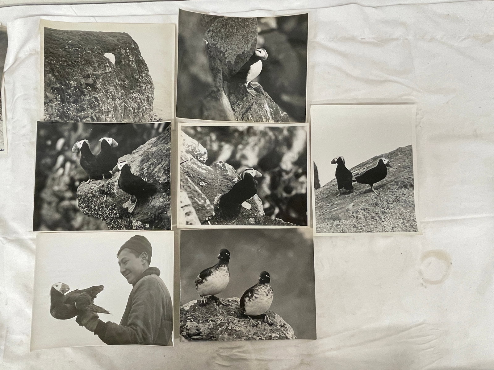 Vintage Black and White Photograph Collection Lot