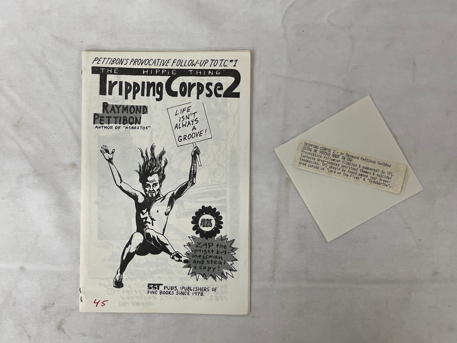 Raymond Pettibon Tripping Corpse 2 SST Zine 1982 Punk Art Booklet (1 of 5)