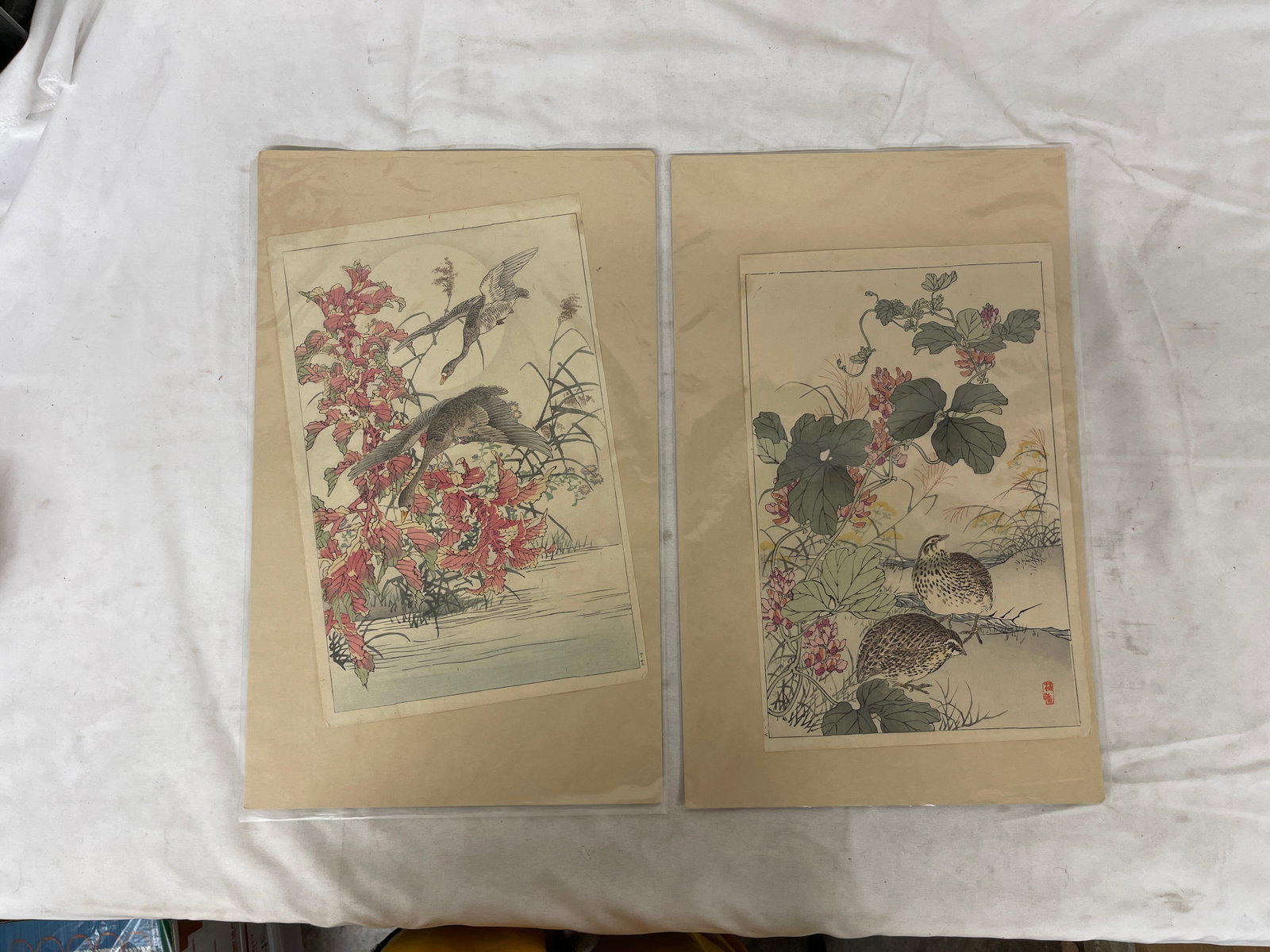 Pair Japanese Woodblock Prints Birds & Flowers, Quail and Geese, Meiji Era (1 of 5)