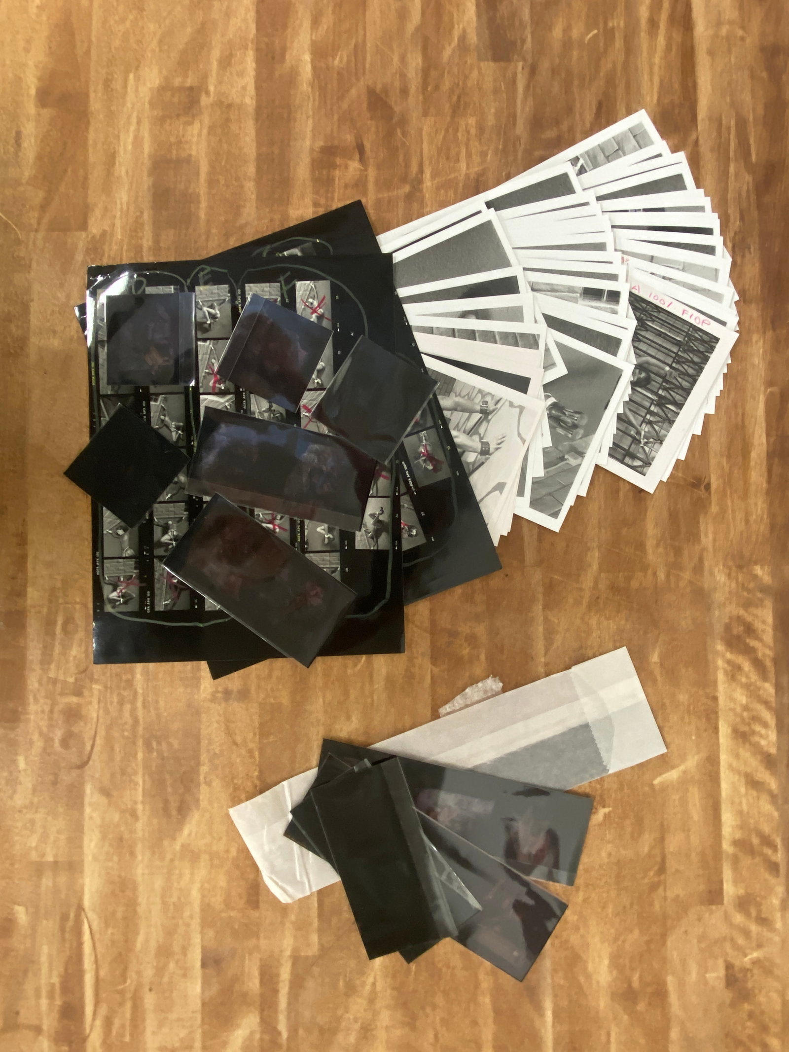 Vintage Black and White Erotic Adult Photographs Negatives and Contact Sheets: Vintage Black and White Erotic Adult Photographs Negatives and Contact Sheets