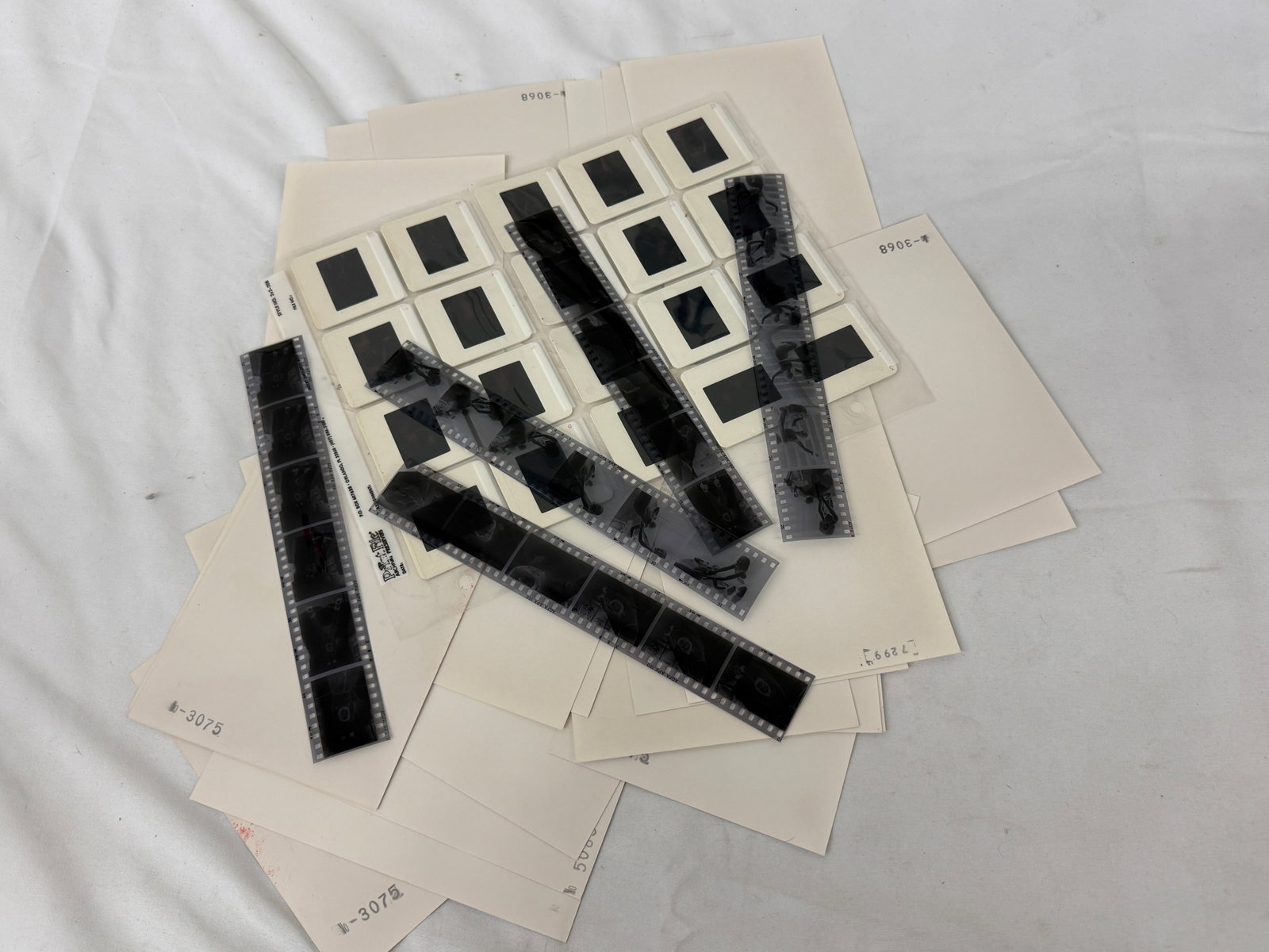 Vintage Black and White Erotic Adult Photographs Negatives and Contact Sheets: Vintage Black and White Erotic Adult Photographs Negatives and Contact Sheets