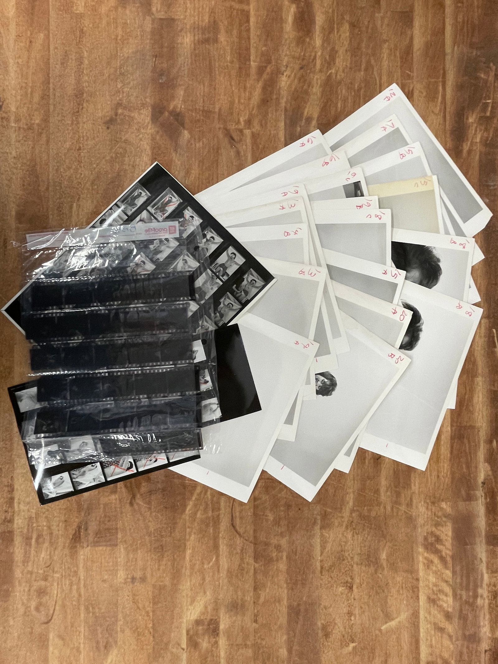 Vintage Black and White Erotic Photographs Negatives Contact Sheets and Slides (1 of 2)