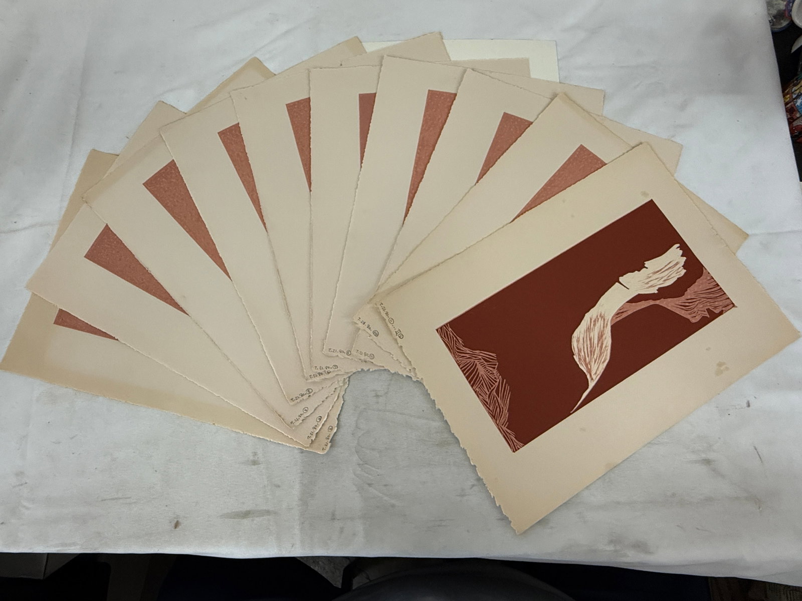 Linocut Print Series Botanical Plant Study, Dated 7.21.80, 12 Prints (1 of 4)