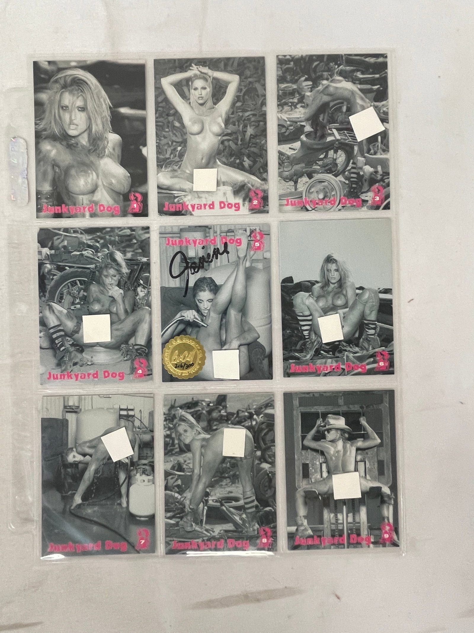Vintage Adult Erotic Trading Card Collection Lot - Some Signed: Vintage Adult Erotic Trading Card Collection Lot - Some Signed