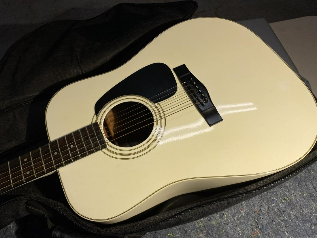 Vintage Fender Model Gemini IV Guitar (1 of 6)