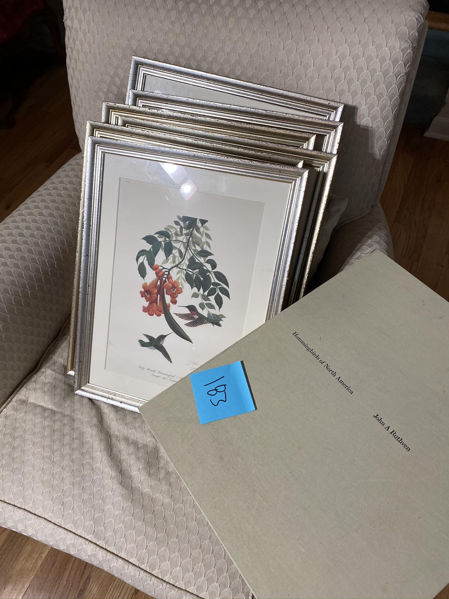 Set of Hummingbirds of North America Prints. (1 of 11)