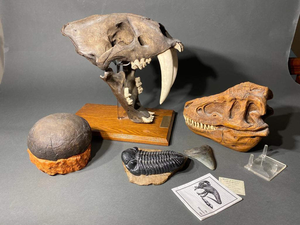 Group lot of Dinosaur Related Items. (1 of 9)