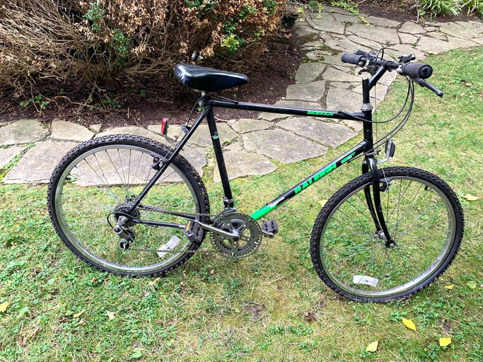 410 Raleigh Sidekick Bike Bicycle