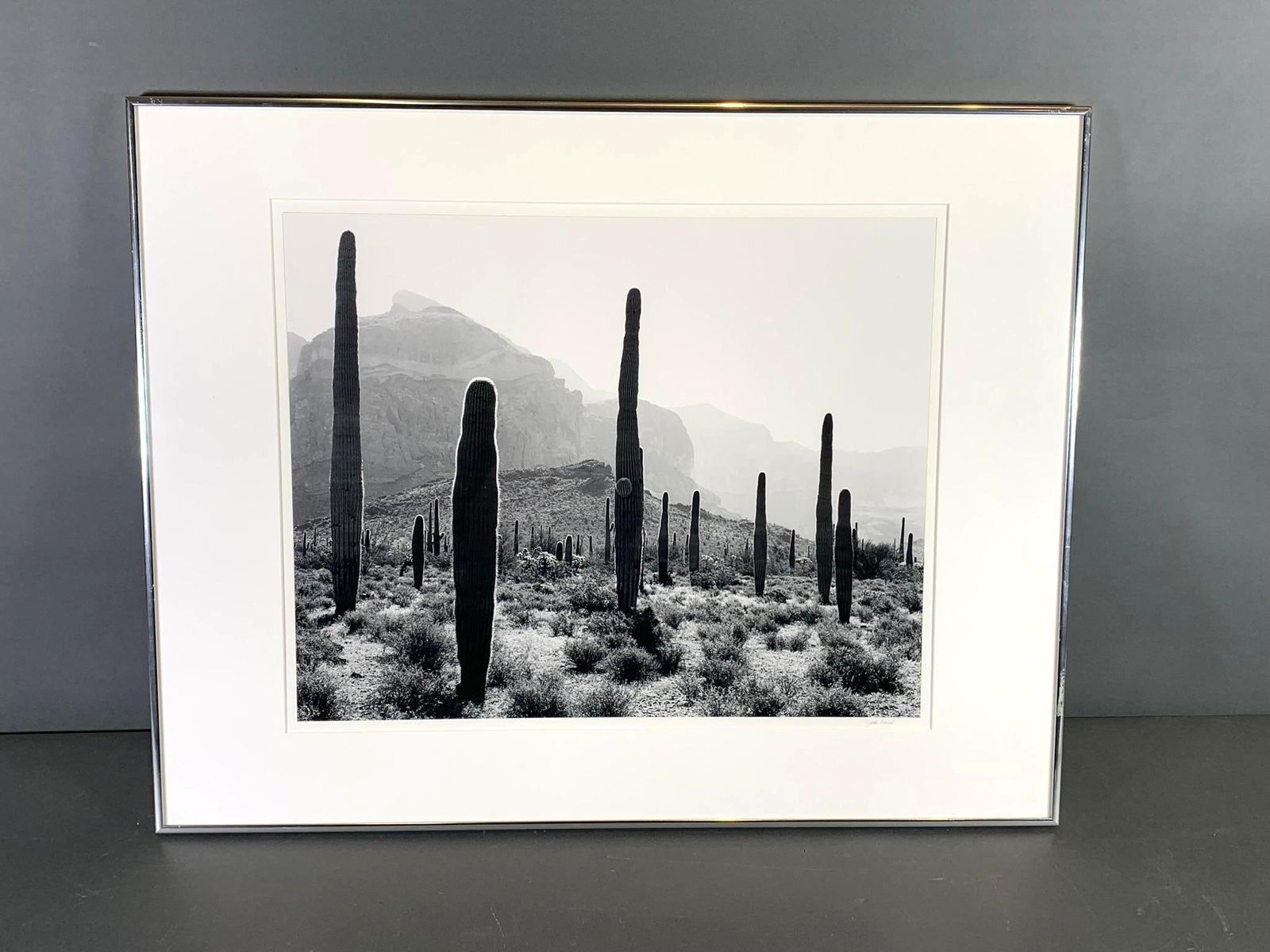 John Ward Photograph of Organ Pipe Cactus, Saguaros an Ajo Mountains, Print 10, 1978: 22" x 28" metal frame size. John Ward (b.1943) American Landscape Photographer. Pipe Organ National Monument photograph. Signed in pencil. In house shipping available. Pickup is Friday, Jan 24 from 11