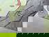 item-206398505=8