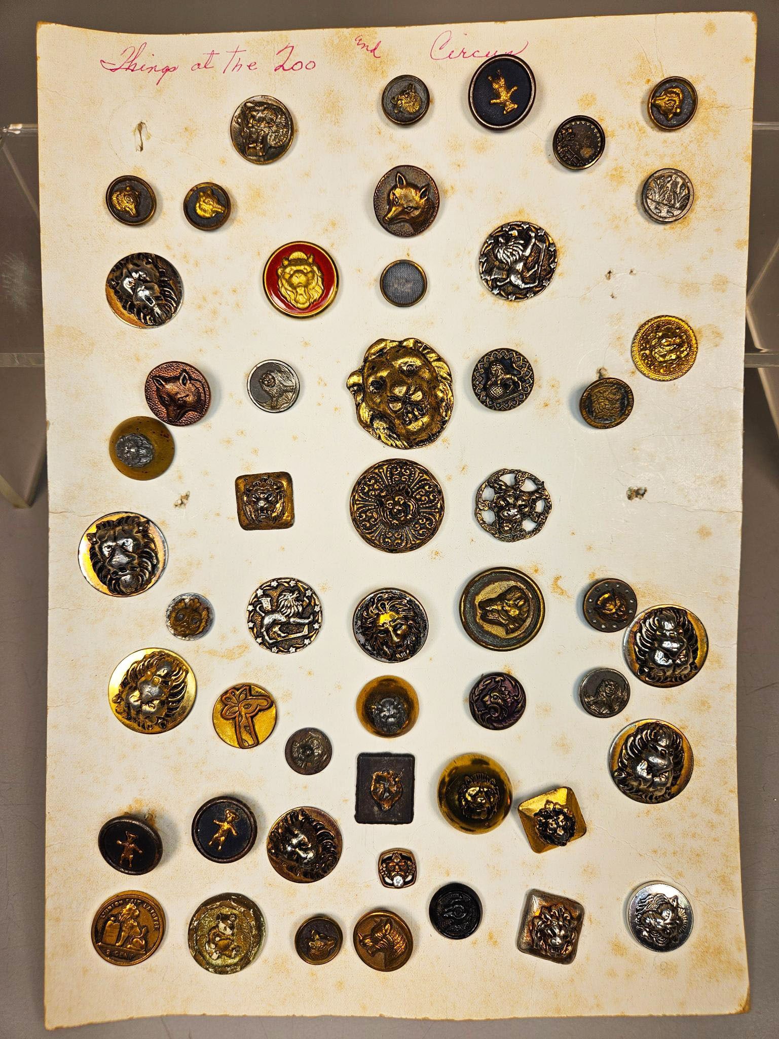 A group of Vintage Metallic Animal Motif Buttons, including Teddy Roosevelt Teddy Bear Examples (1 of 16)